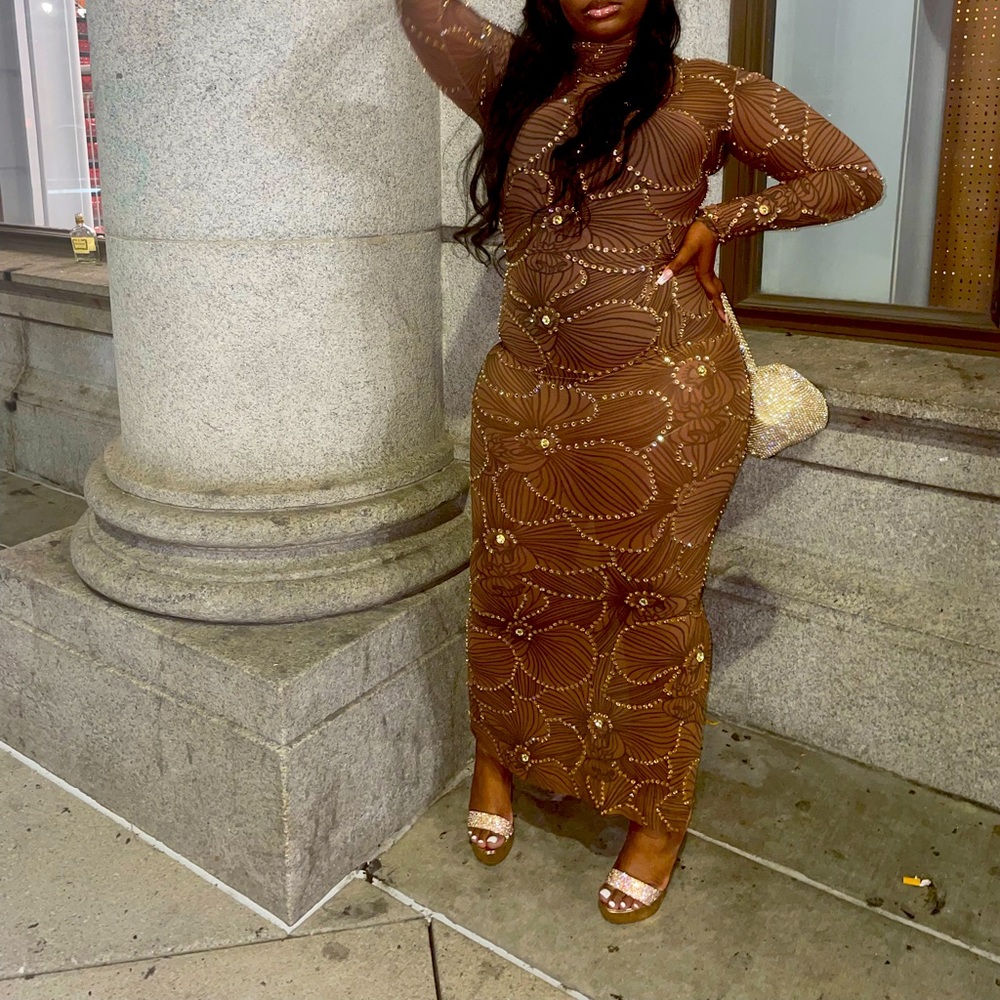 Mesh fitted dress